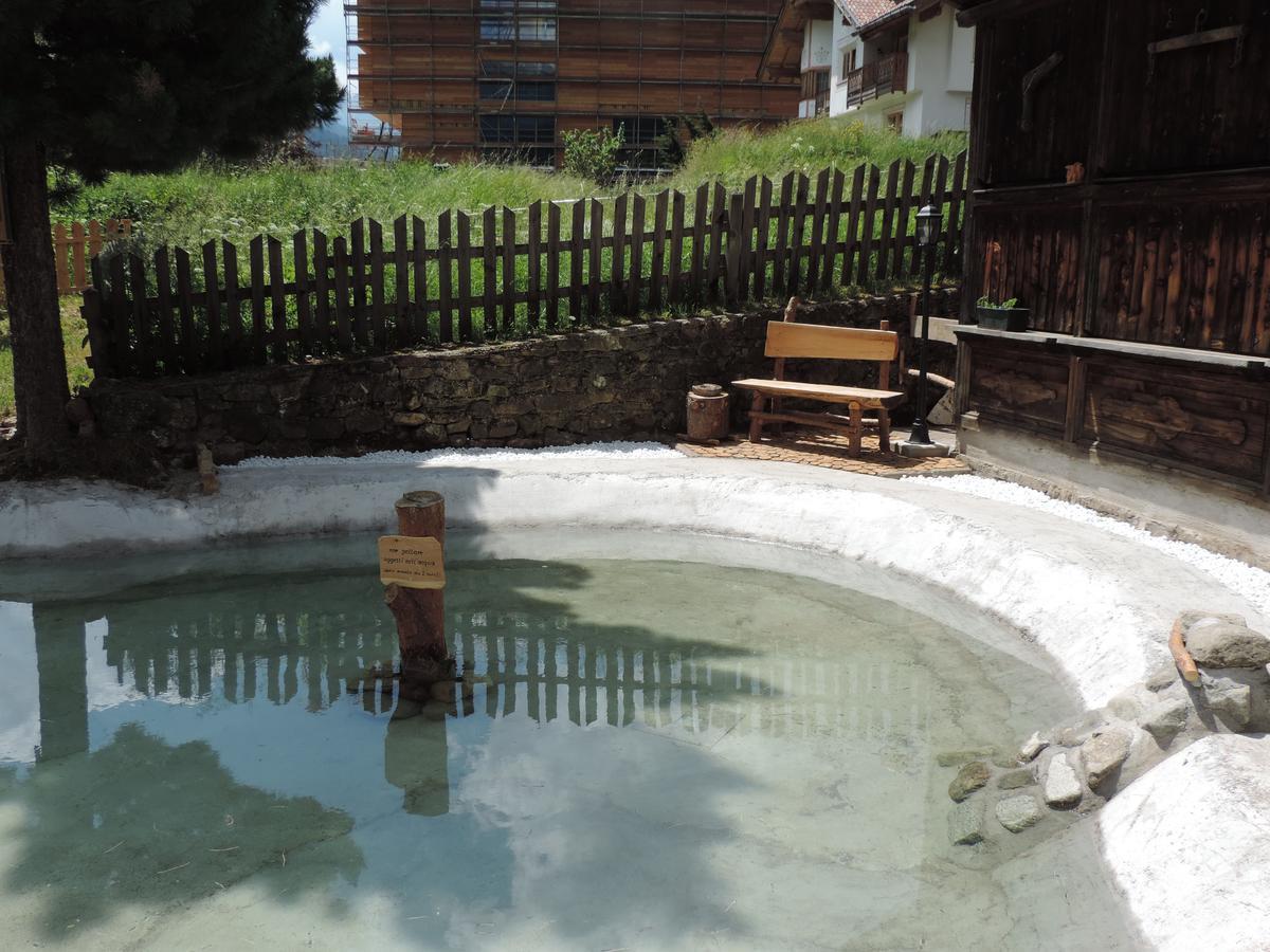 Hotel Montana Pozza di Fassa Exterior photo